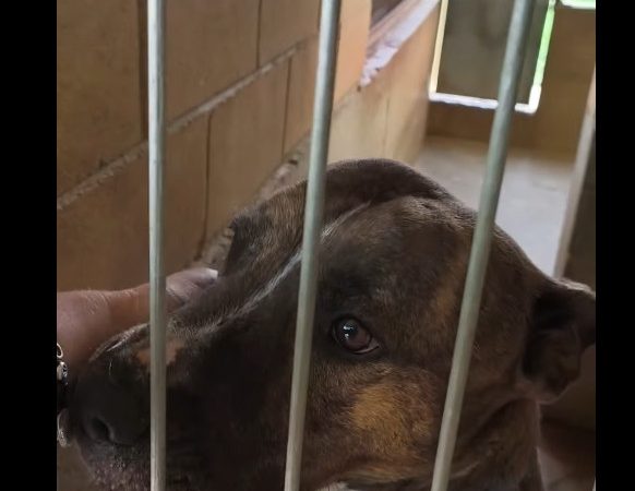 Video 18/04/26 1ª parte