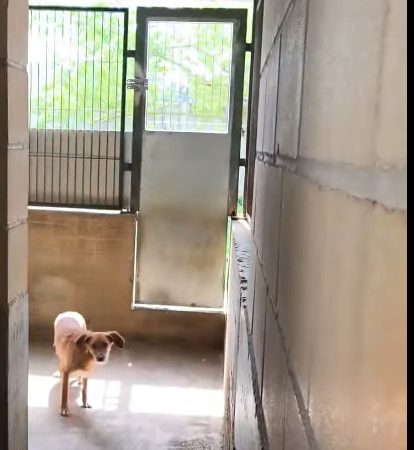 Video 18/04/26 2ª Parte